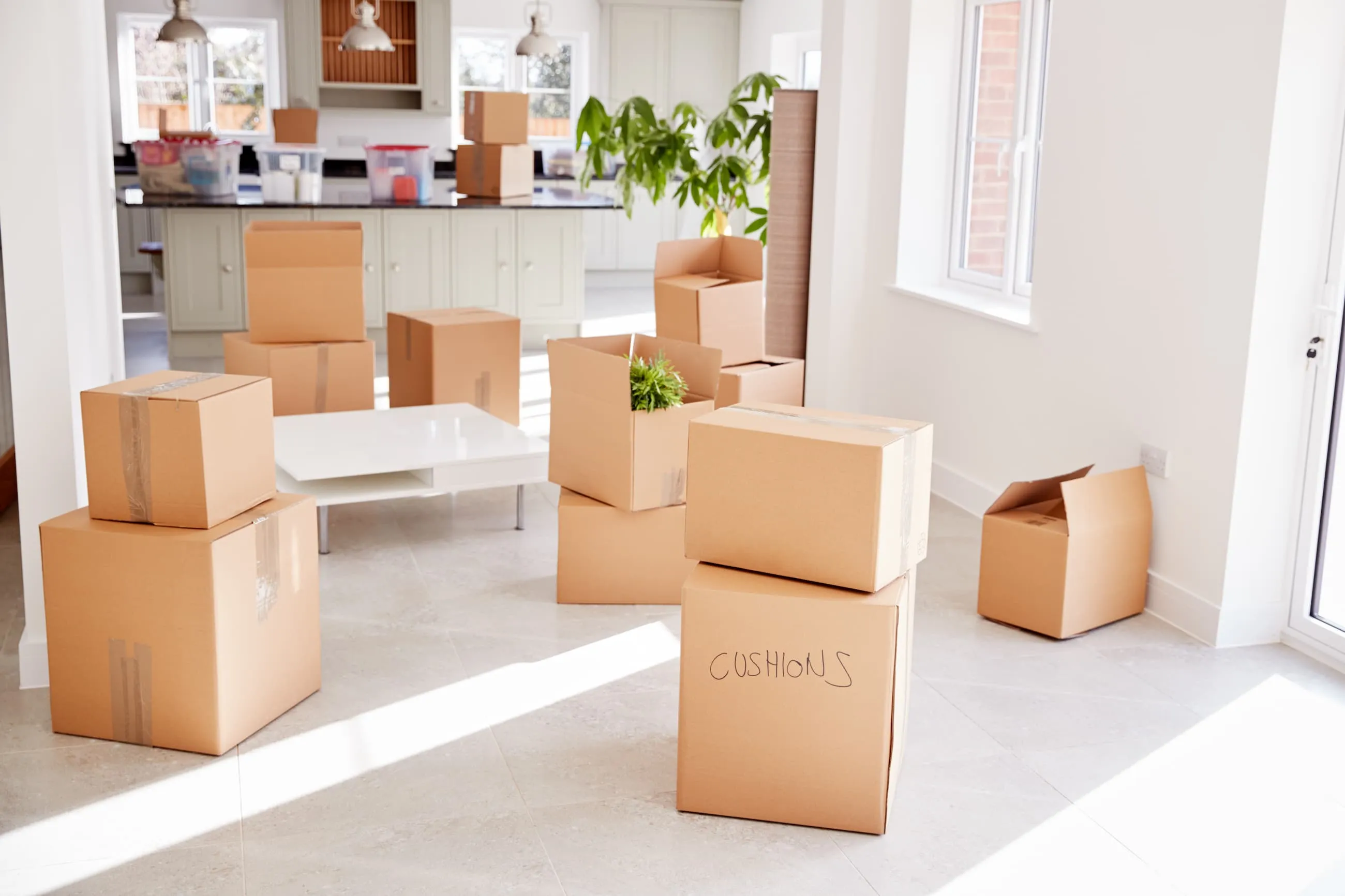 A background image of stacked cardboard moving boxes